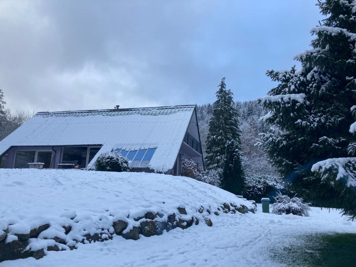 L'Opportunite Villa Saulxures Kültér fotó