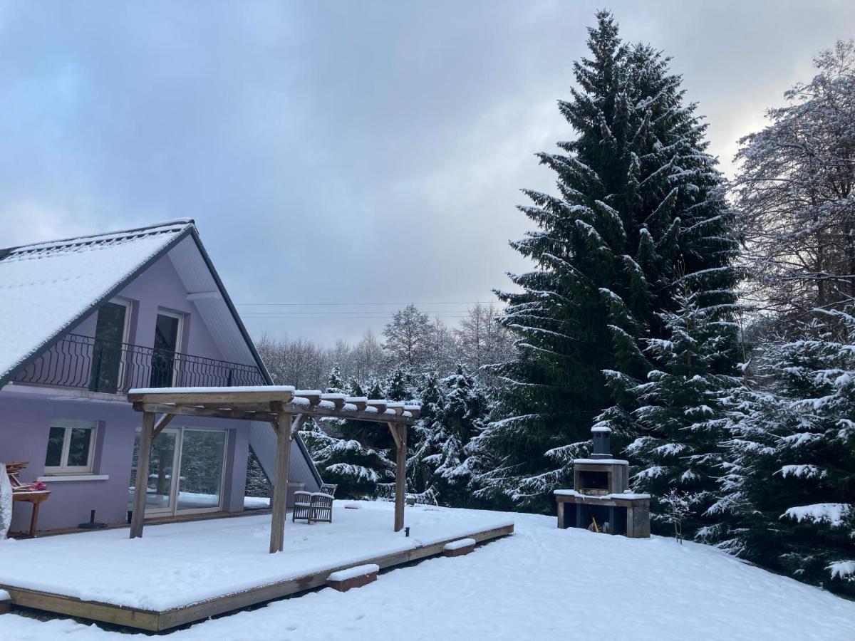 L'Opportunite Villa Saulxures Kültér fotó